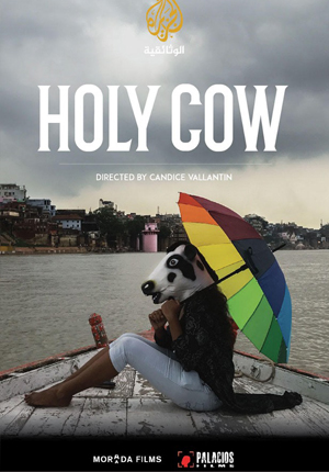 Holy Cow